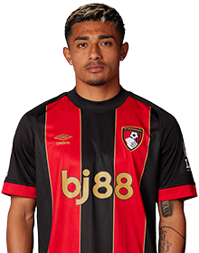 J.Araujo